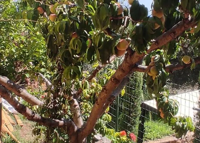 בית נופש Patty's House פינאלה ליגורה