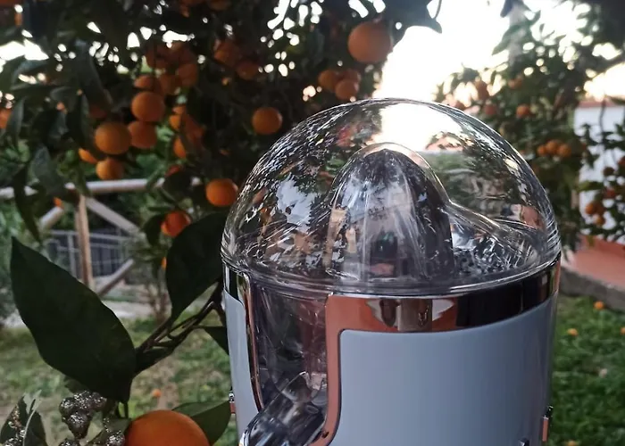 Patty's House * פינאלה ליגורה