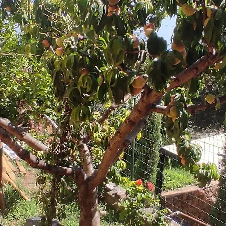 Ferienhaus Patty's House Finale Ligure